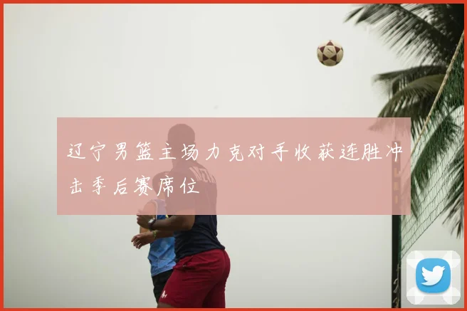 辽宁男篮主场力克对手收获连胜冲击季后赛席位